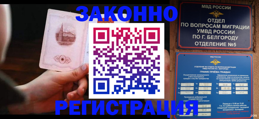 прописка 2025 в Одинцово